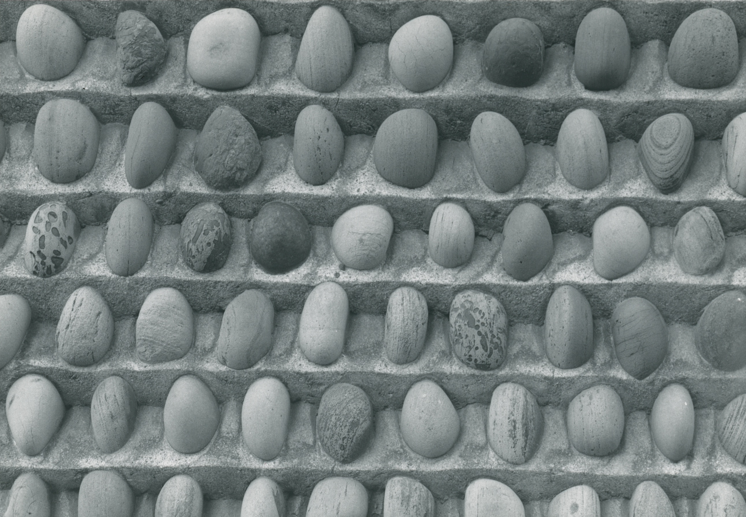 Cam-1 3930 North Ridge Rd 5